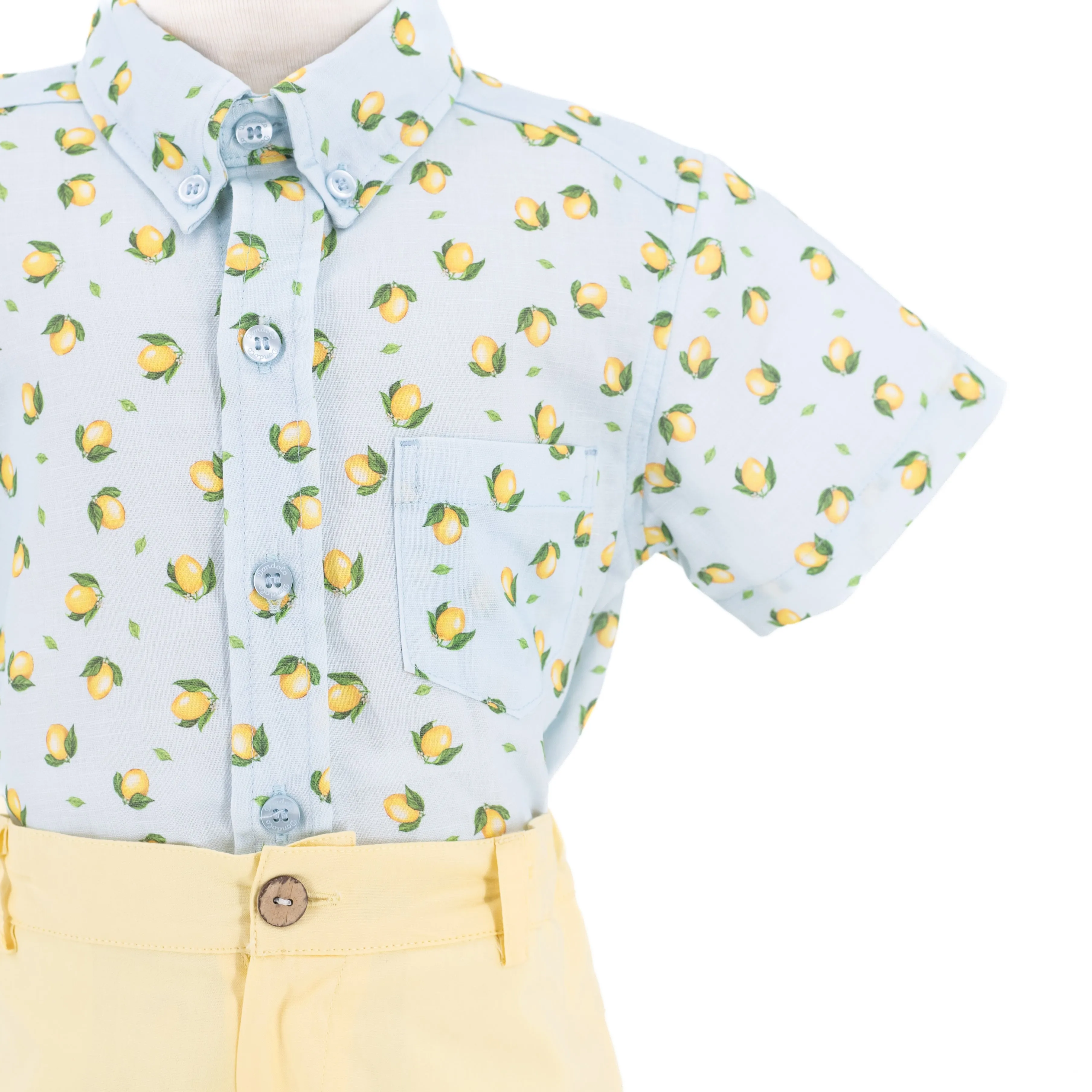 Citron Boy Button Down/Short Set