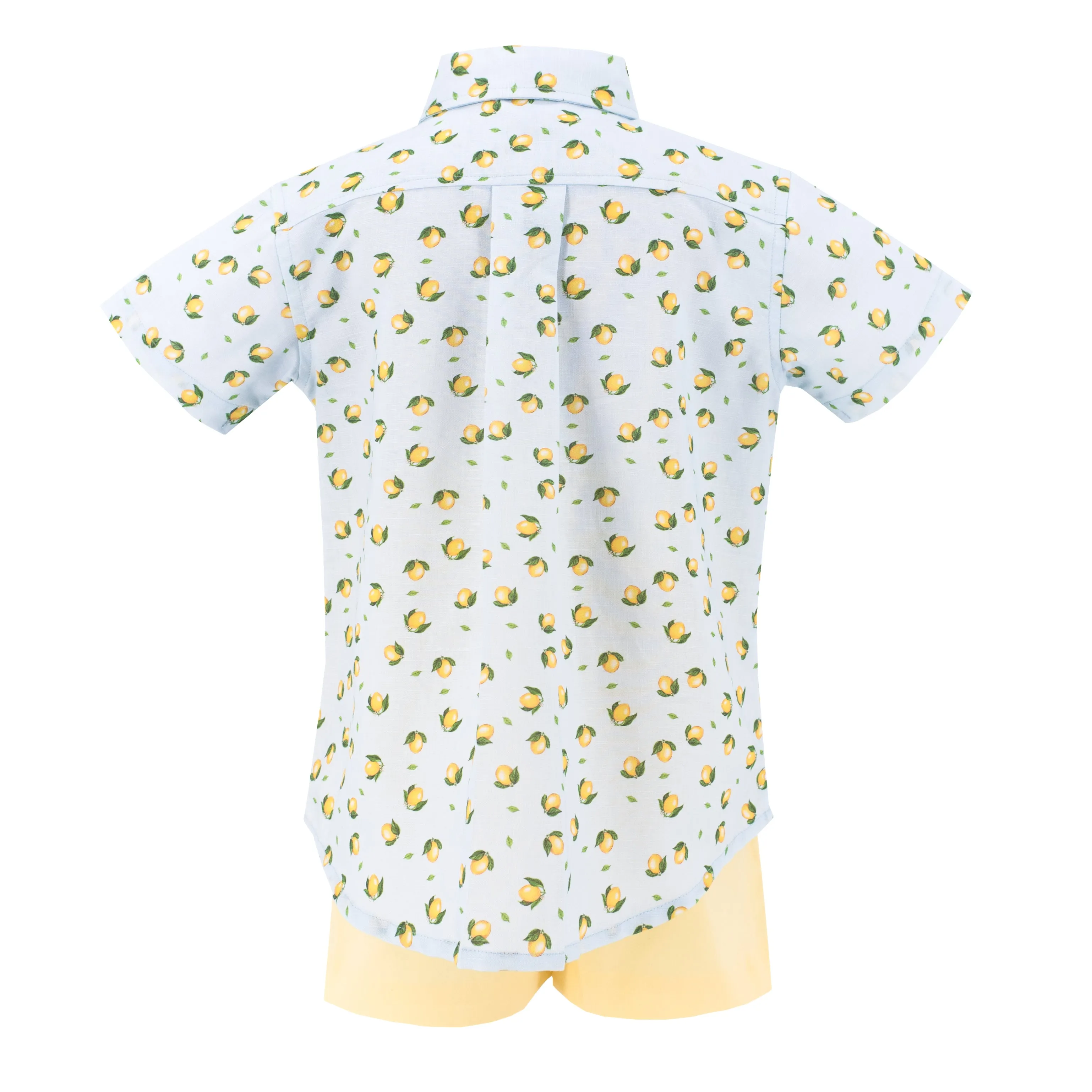 Citron Boy Button Down/Short Set