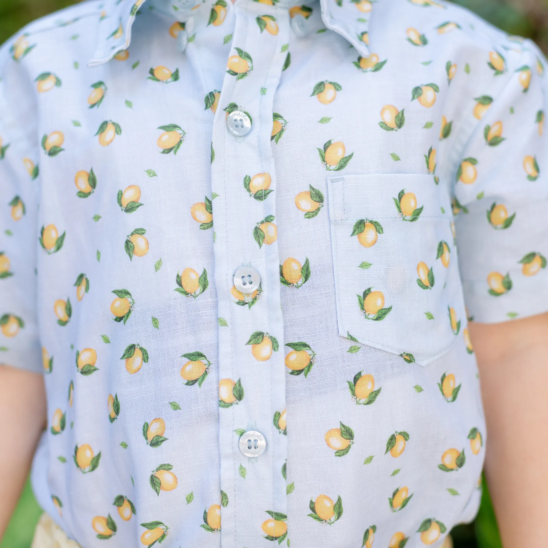Citron Boy Button Down/Short Set