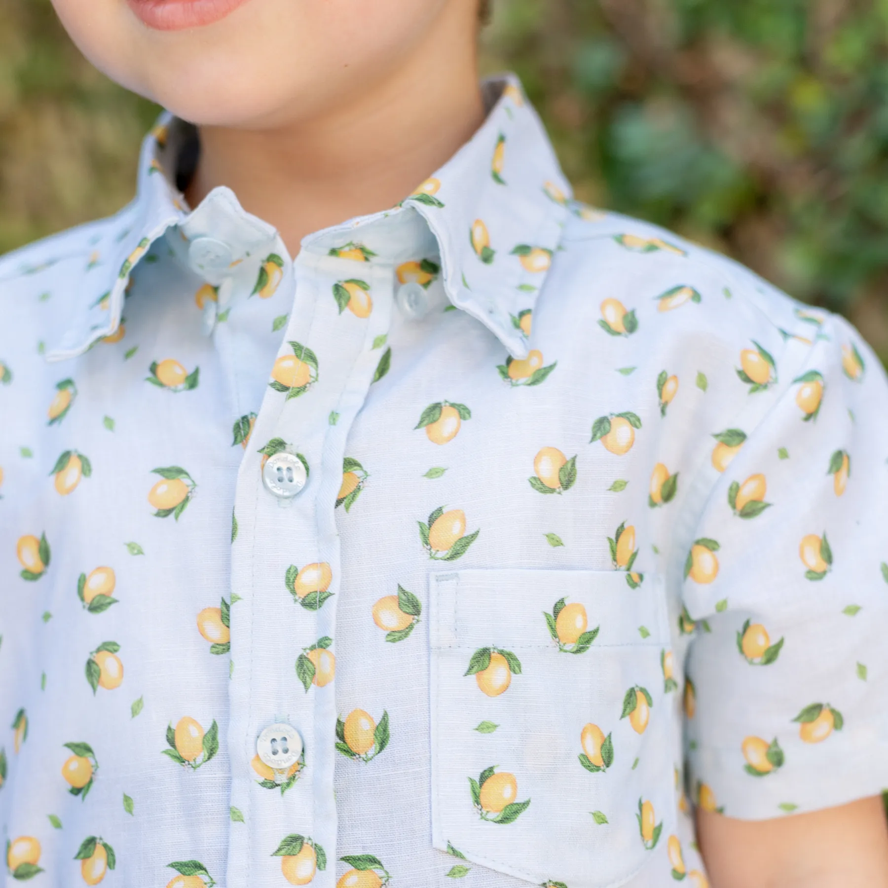 Citron Boy Button Down/Short Set