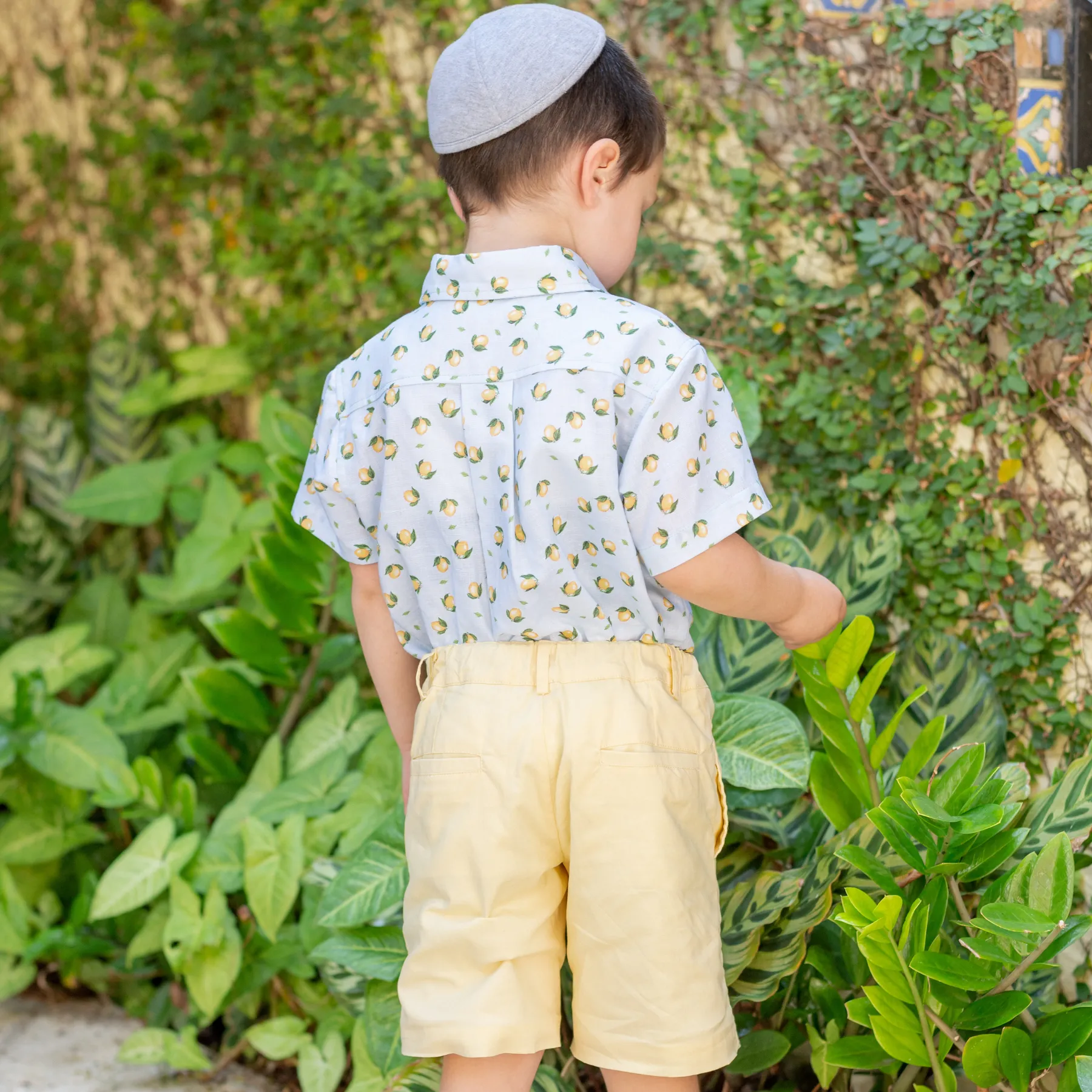 Citron Boy Button Down/Short Set