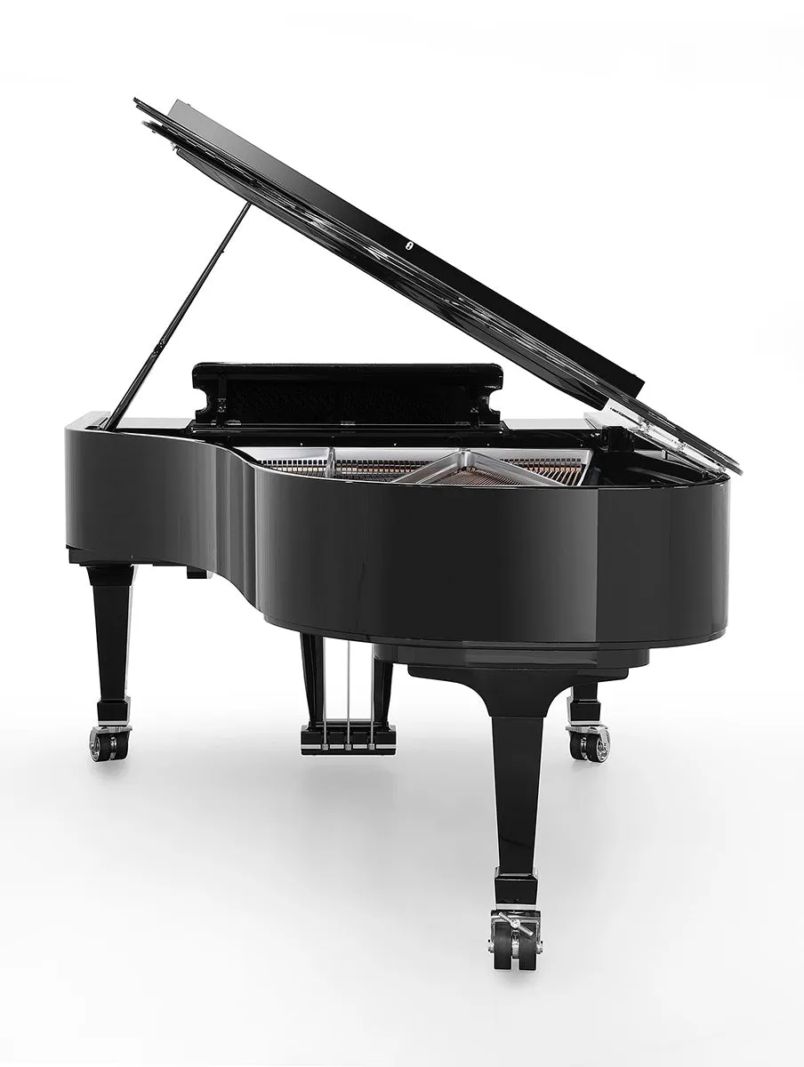FAZIOLI Silver F228
