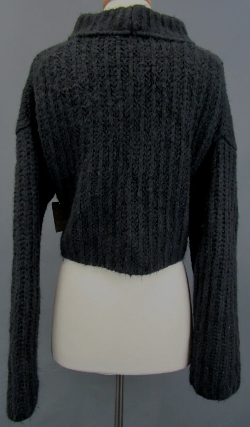 Free People Alpine Crop Mock Neck Sweater