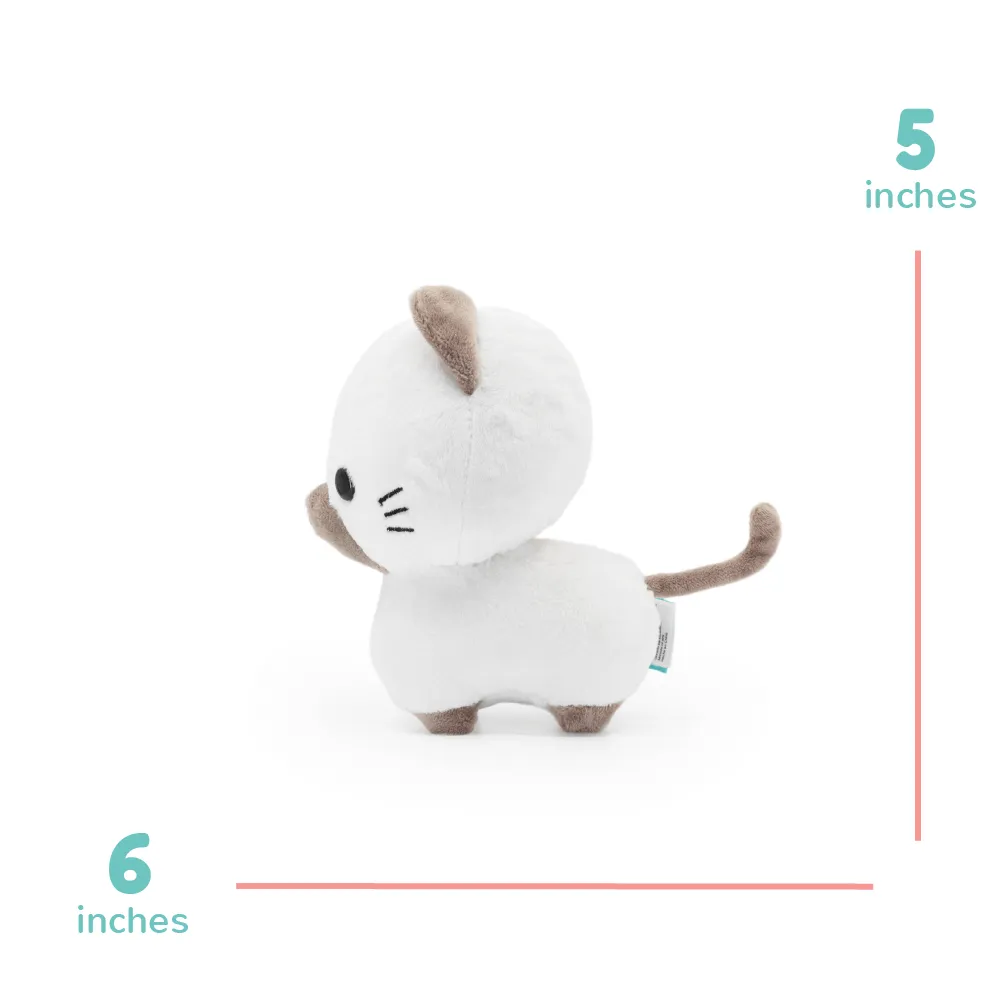 Mini Sami the Siamese Cat