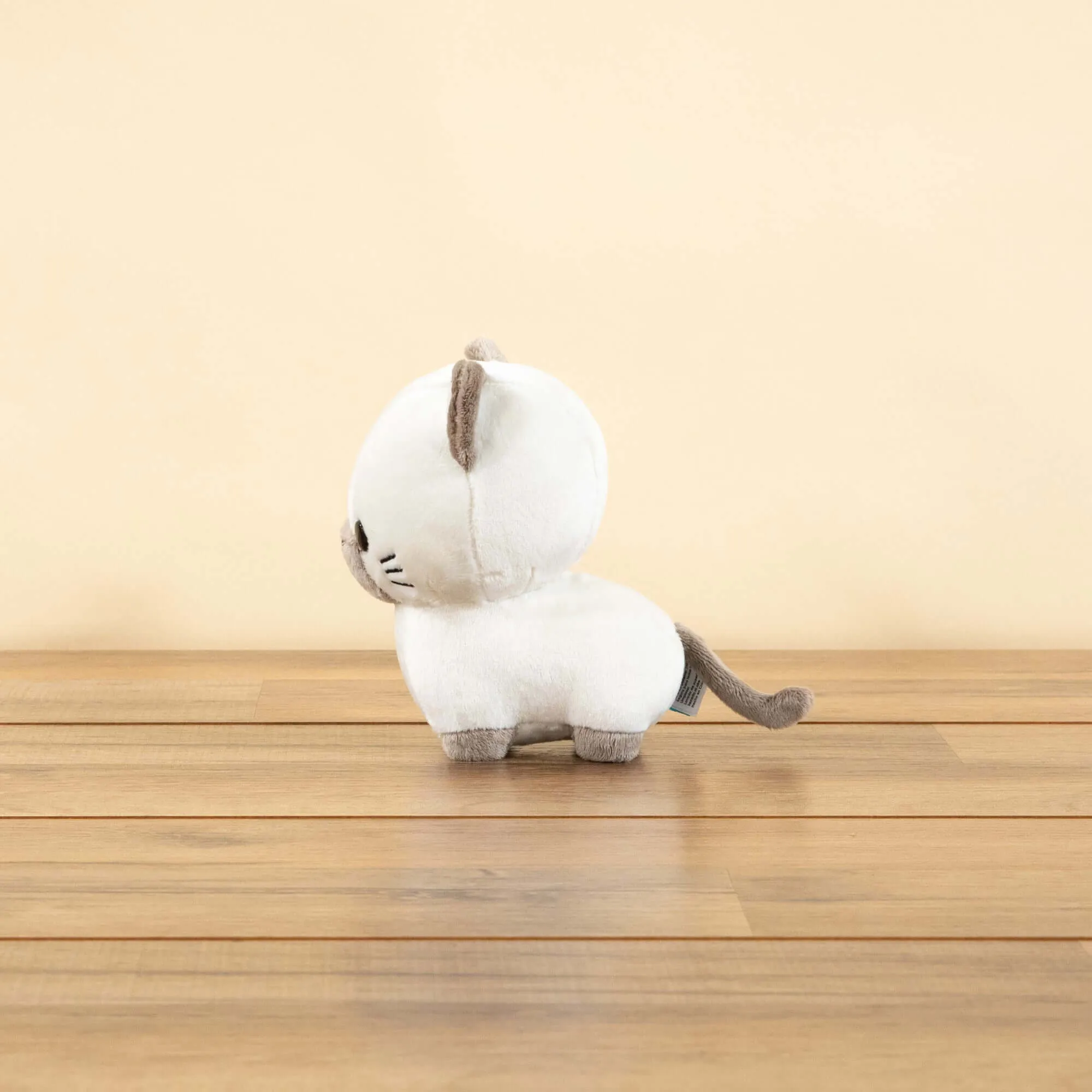 Mini Sami the Siamese Cat