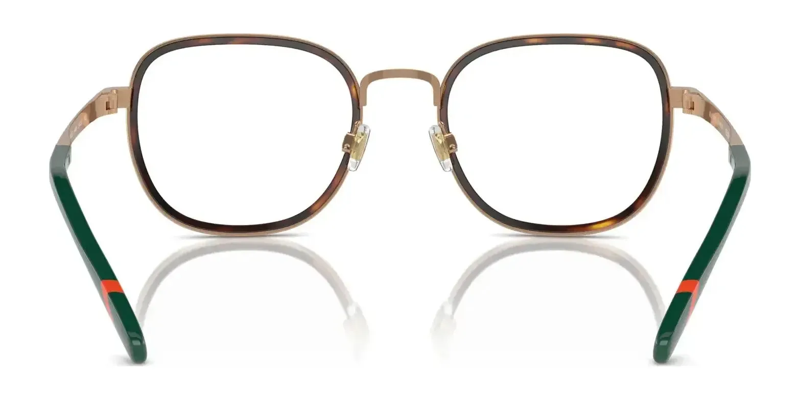 Polo PH1231 Eyeglasses