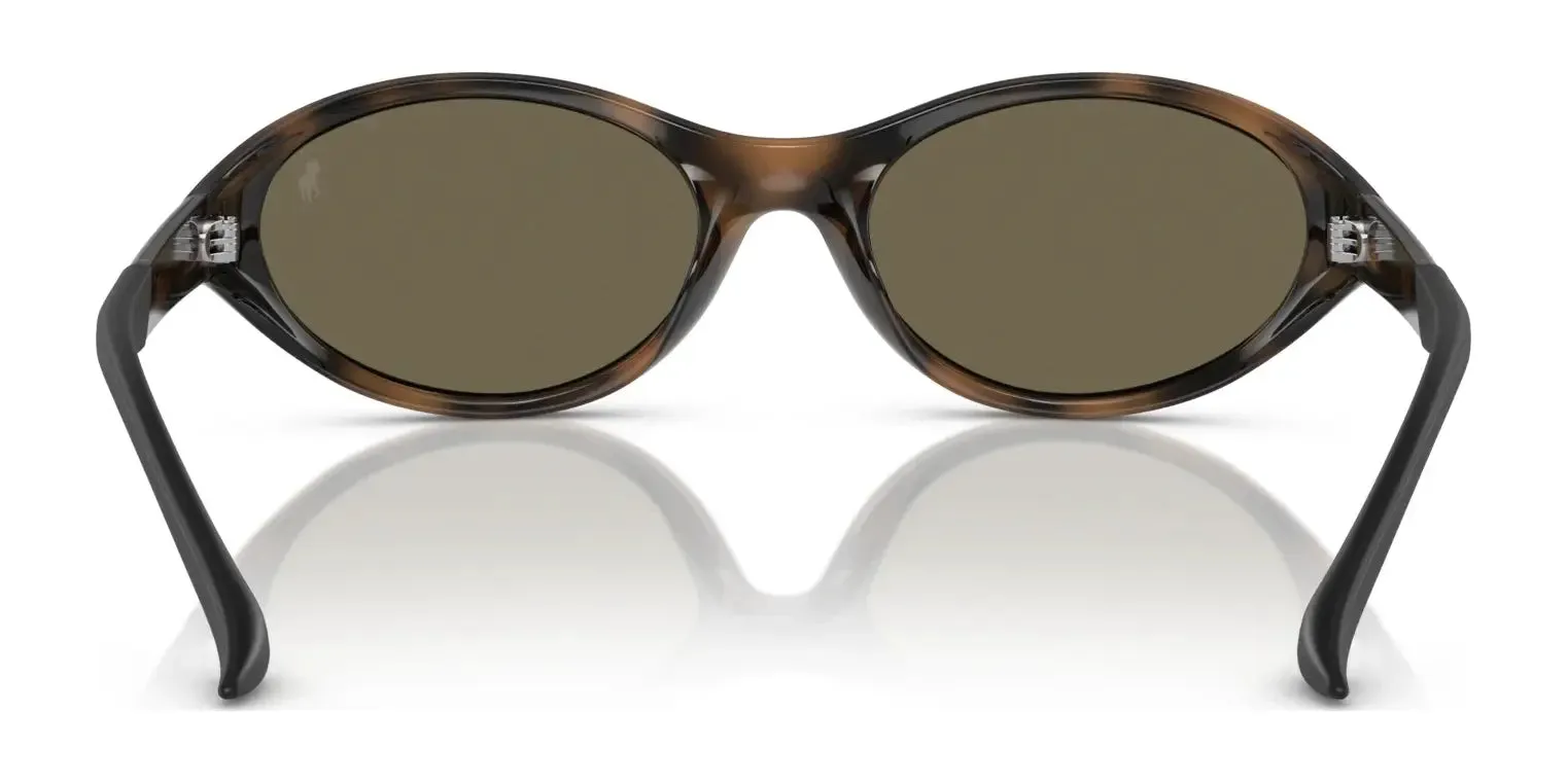 Polo PH4197U Sunglasses | Size 56