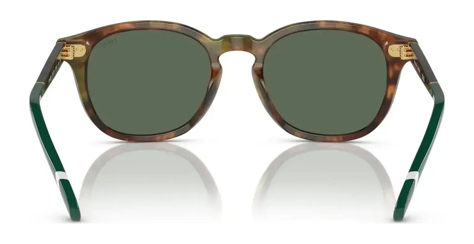 Polo PH4206 Sunglasses | Size 52