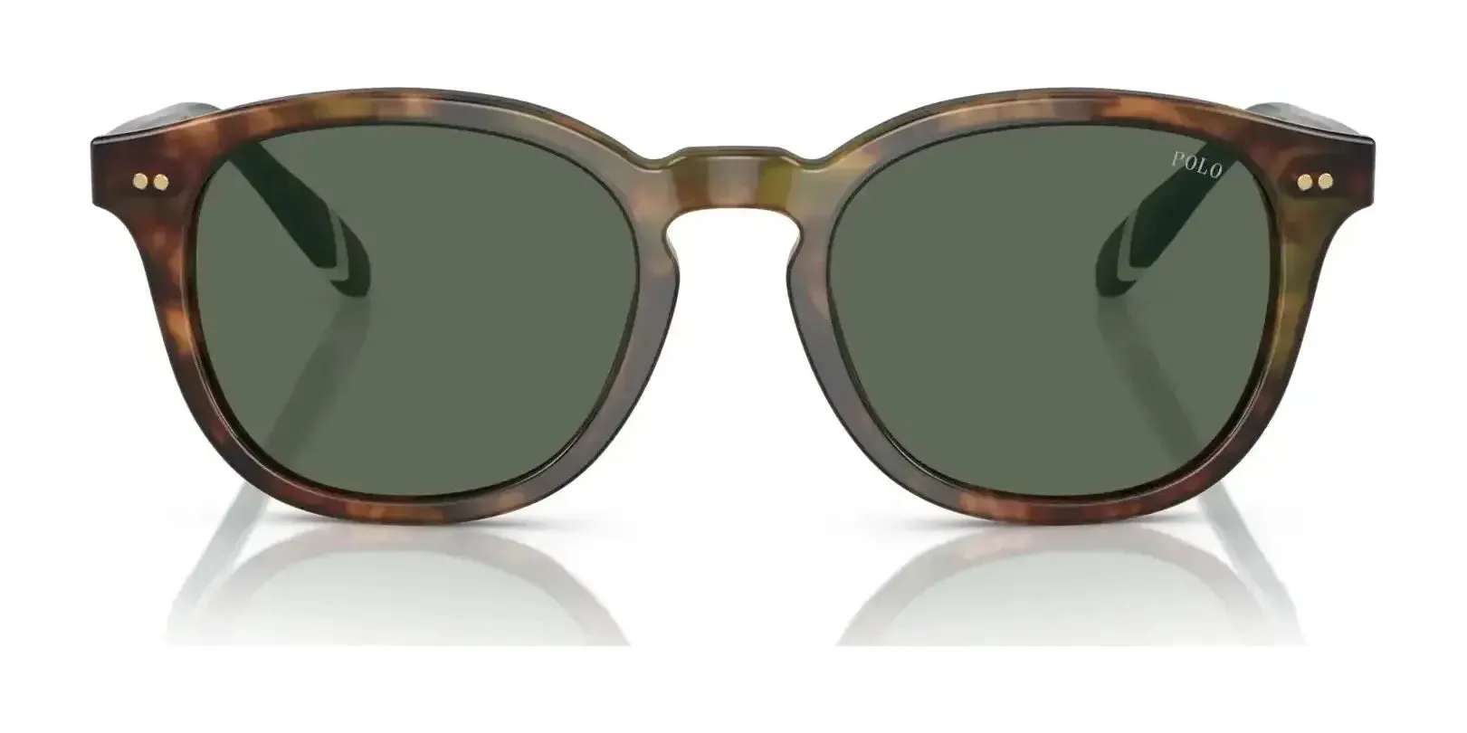 Polo PH4206 Sunglasses | Size 52