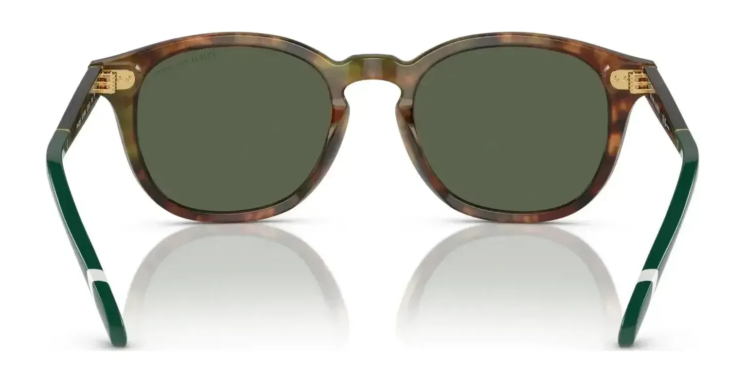 Polo PH4206 Sunglasses | Size 52