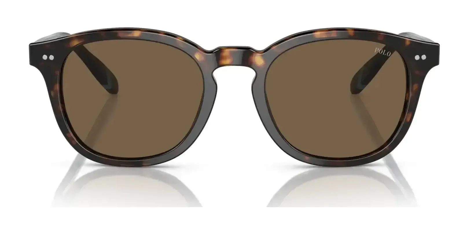 Polo PH4206 Sunglasses | Size 52